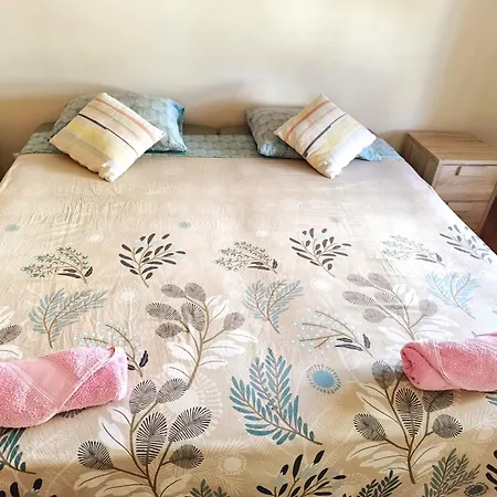 Vacaciones En El Paraiso